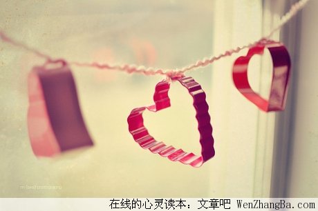 那天后，没有再见过你