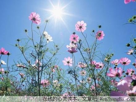 爱的领悟