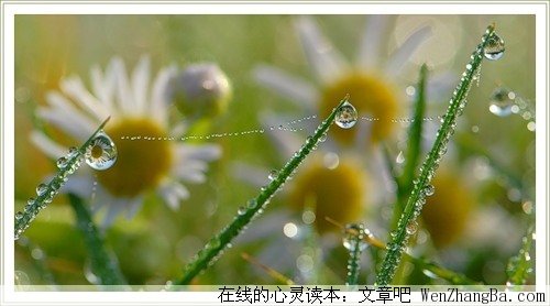 我们还记得爱的初衷吗？