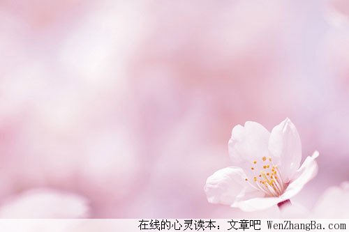 别等不该等的人，别伤不该伤的心