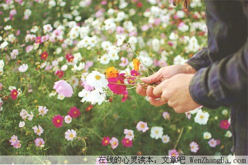 除了爱，我还能给你什么