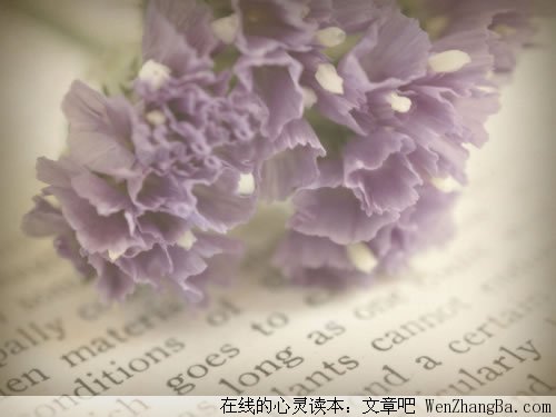 受伤了就看看这些话