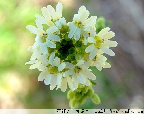 经典语句齐集