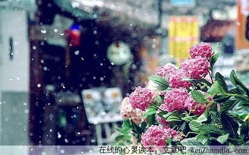 时间教会我们一些东西