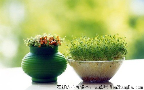 保持年轻的诀窍