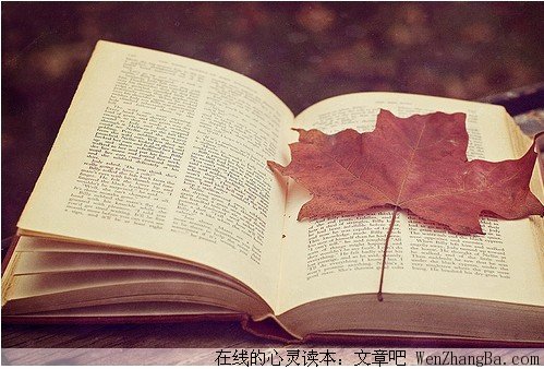 太阳般温暖