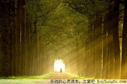 瞬间的永恒