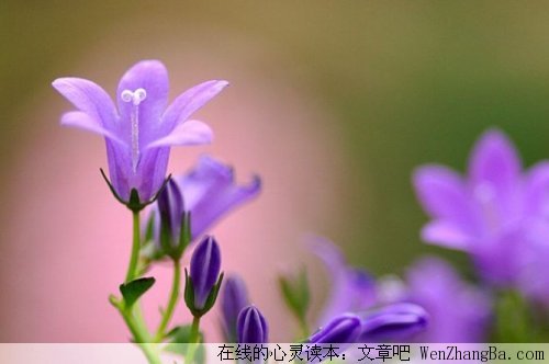 学着做个聪明人