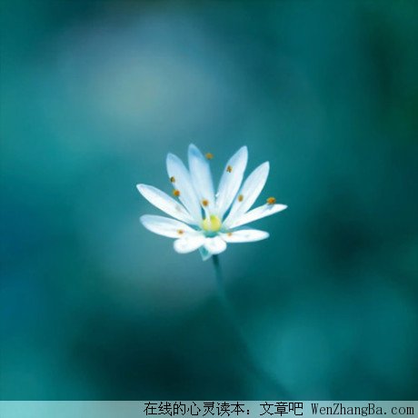 看淡才是最好的