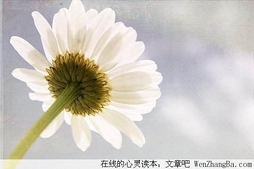 没有借口，再难都要坚持