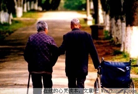 于平凡中感悟爱的真谛