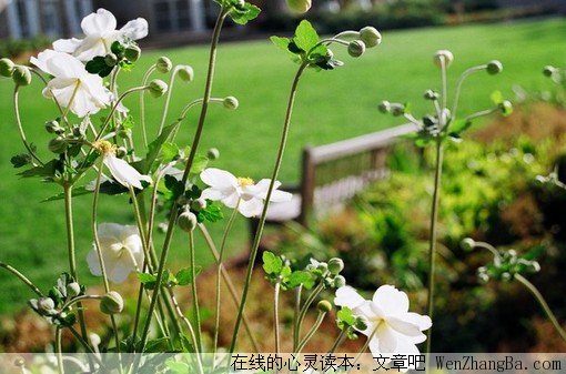 手牵着手，我们才能一直走