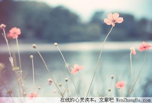 青春期的疯狂