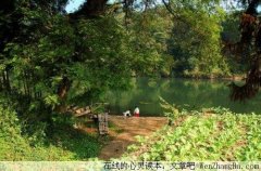 以书为伴，用心相守