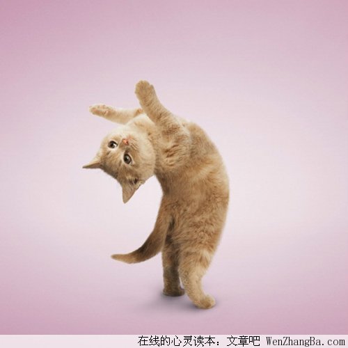 心情好，哪里都是天堂