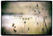 凌乱的美