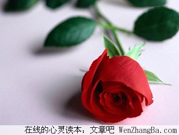 教你做个聪明的女人