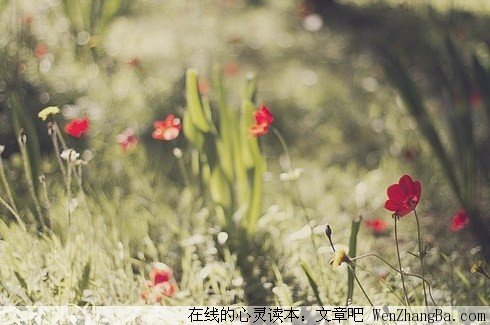 爱是一样的