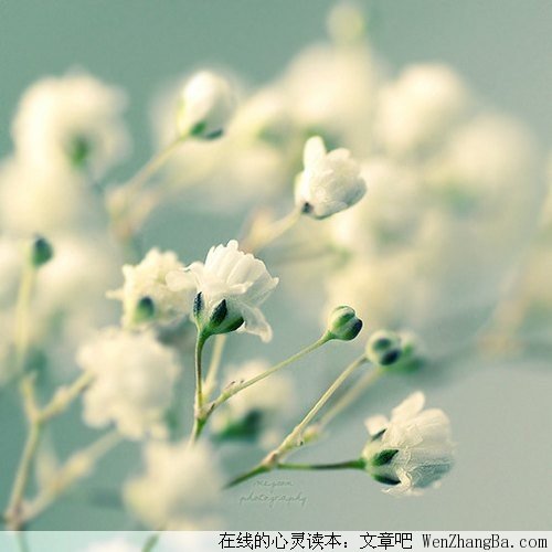 放下该放下的