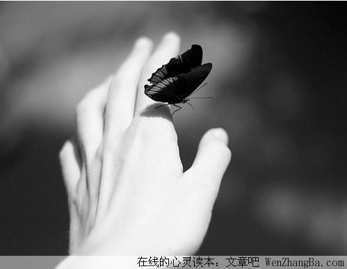 失败并不可怕