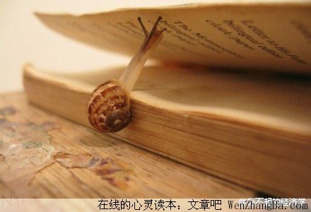 沉不住气是你修养不够