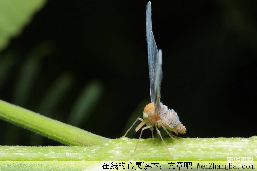 聆听心灵的声音