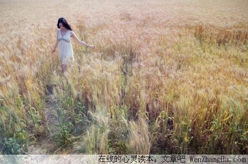 在梦中寻真爱