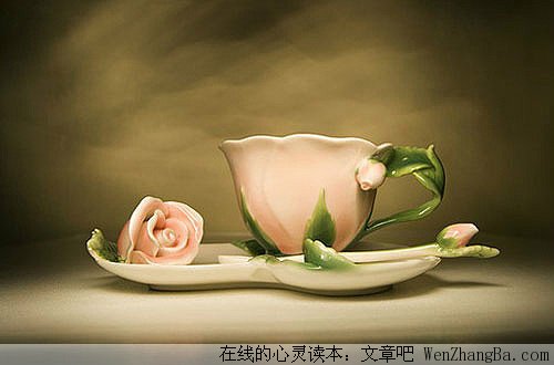 不是所有的付出都需要回报