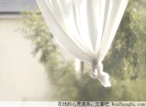 放下那不属于我的爱情