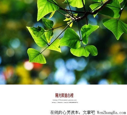 让阳光照进心灵