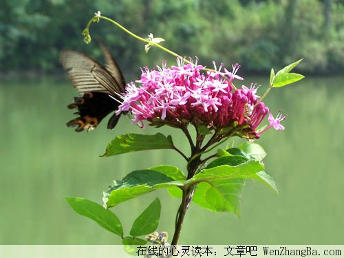 让爱洒遍人间