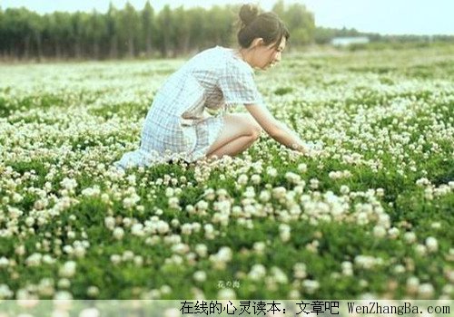 大学里的玫瑰