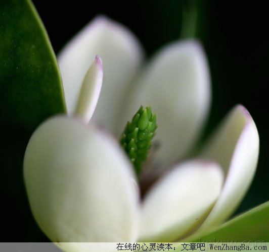 为爱找个解脱