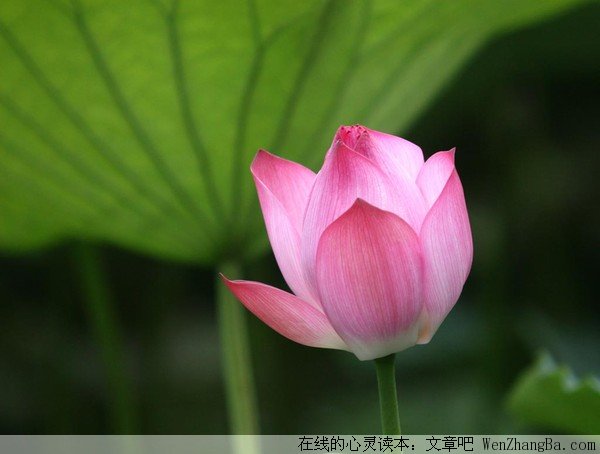 这才叫聪明