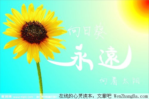 绽放的微笑