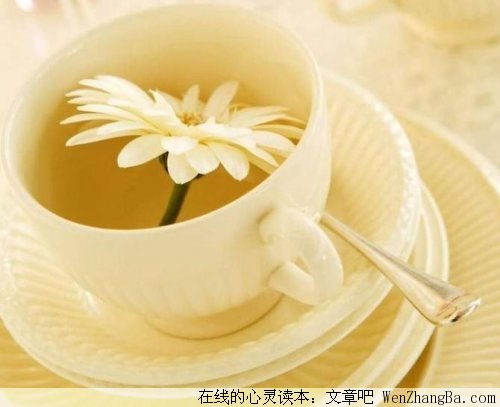没有恨的世界很温暖