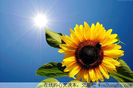 快乐会传染，请你看开