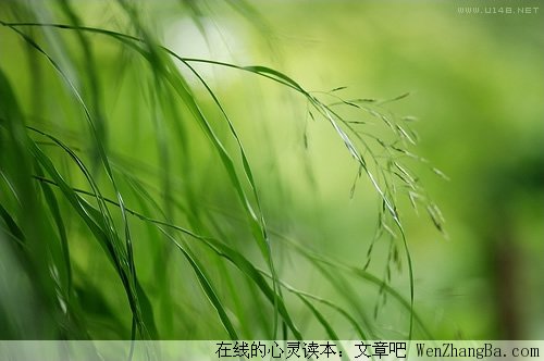 爱不是负担