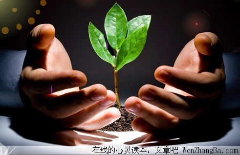 谁来关注教师的内心
