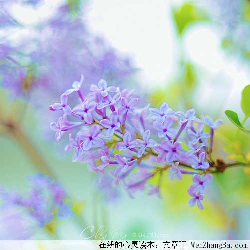 我的人生无规划