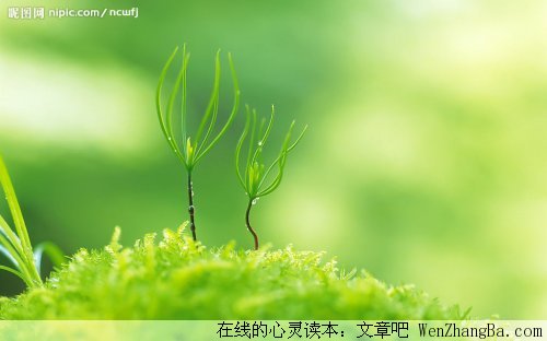 生命大于一些