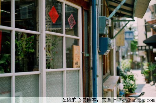 幸福的野花