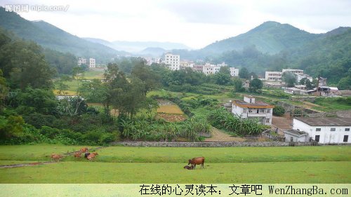 我爱我的家乡