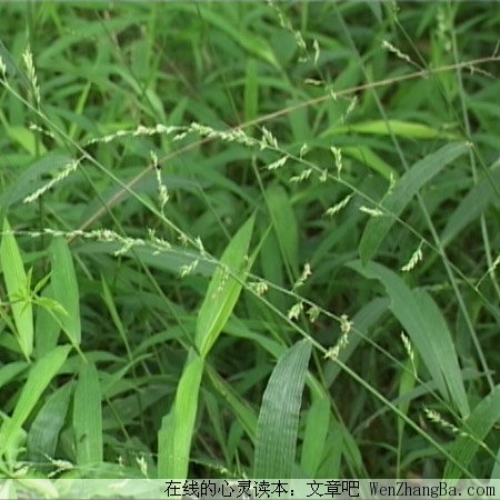简短精炼的句子