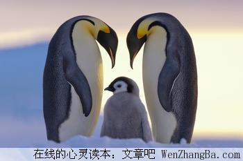 转身，爱还在原地