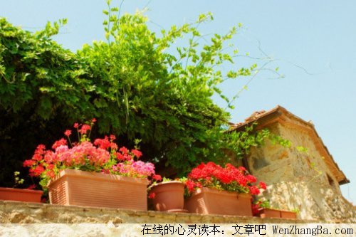 空中的有缘人