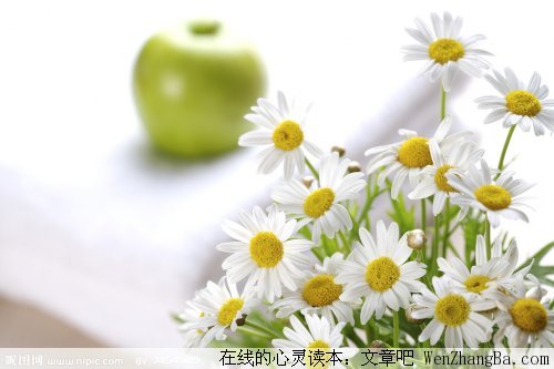 来过并且绽放