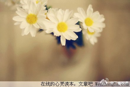 该是你的怎么也逃不掉