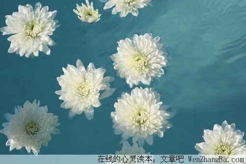 千金难换早知道