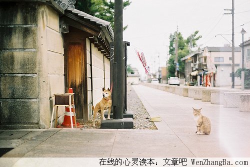 我的犹太人房东